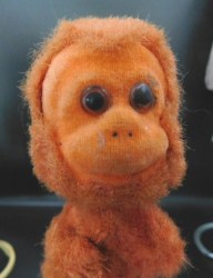 monkey nodder face